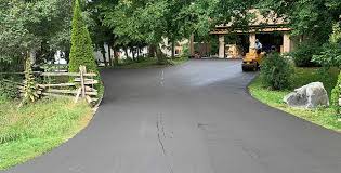 Best Driveway Repair and Patching  in Chrisman, IL